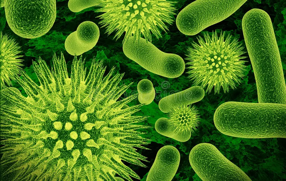 Inside the gut: Understanding the microbiome